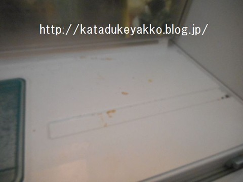 DSCN3060