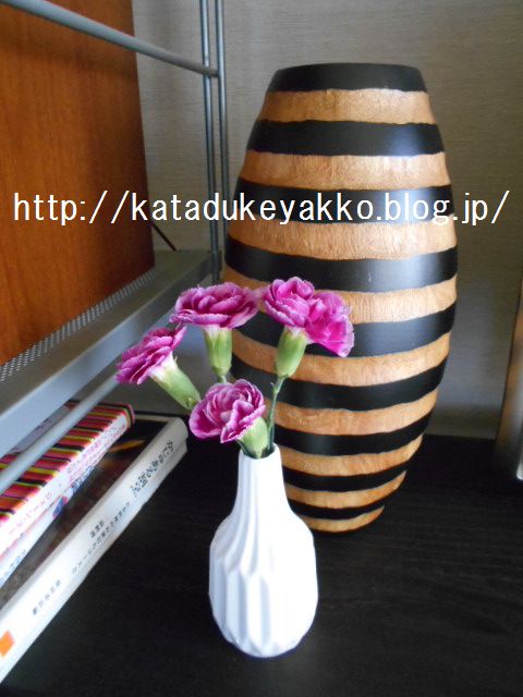 DSCN1478