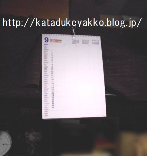 DSCN6582