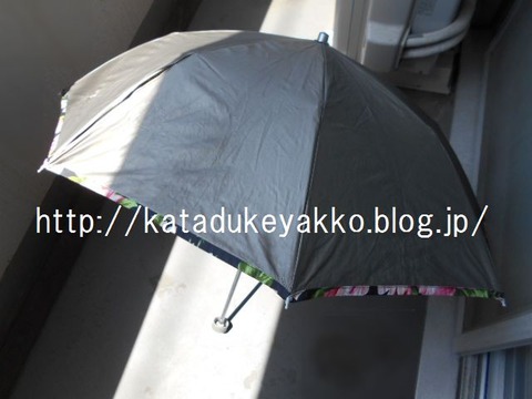 DSCN9744