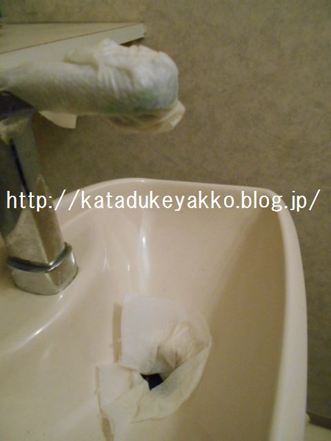 DSCN4044