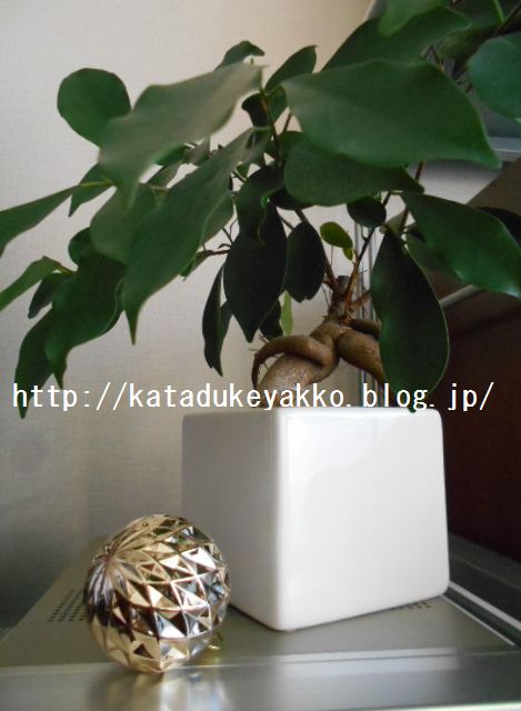 DSCN4837