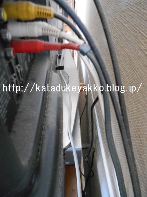 DSCN8979