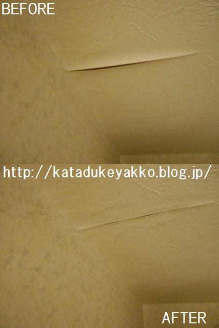 DSCN0151