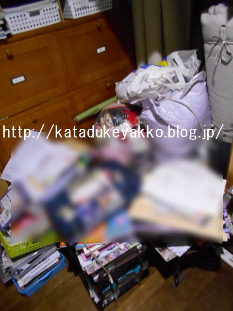 DSCN4291