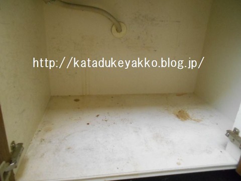DSCN9061