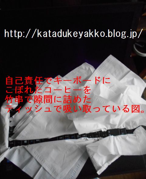 DSCN9576