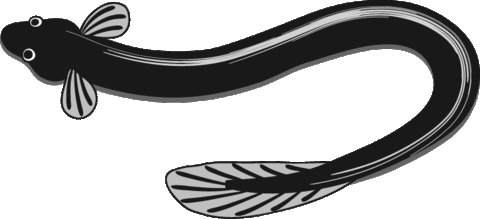 ニュース でれすけ