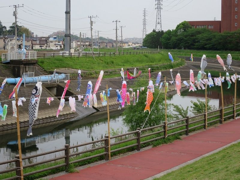 平成28年4月27日 泳げ 鯉のぼりまつり でれすけ 平成28年4月27日 泳げ 鯉のぼりまつり でれすけ