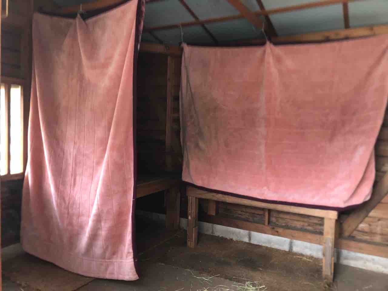 ちょっとずつ 寒さ対策 ヤギバカですけど