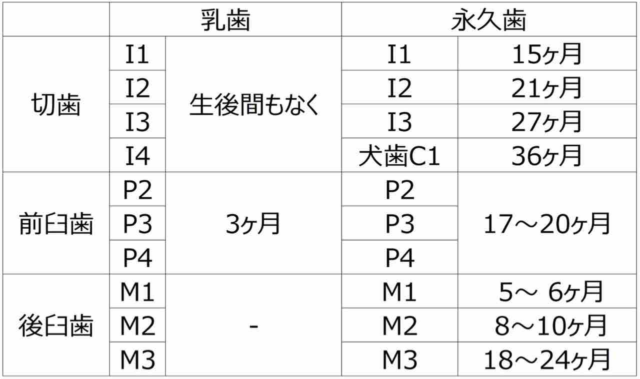 ヤギの歯とお口の話シリーズ ヤギバカですけど