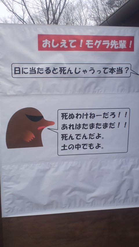 おしえて モグラ先輩 ヤギヌマ日記