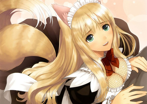 maid1512140021