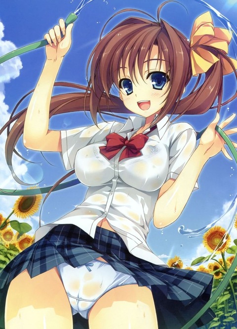 sukesuke1604290003