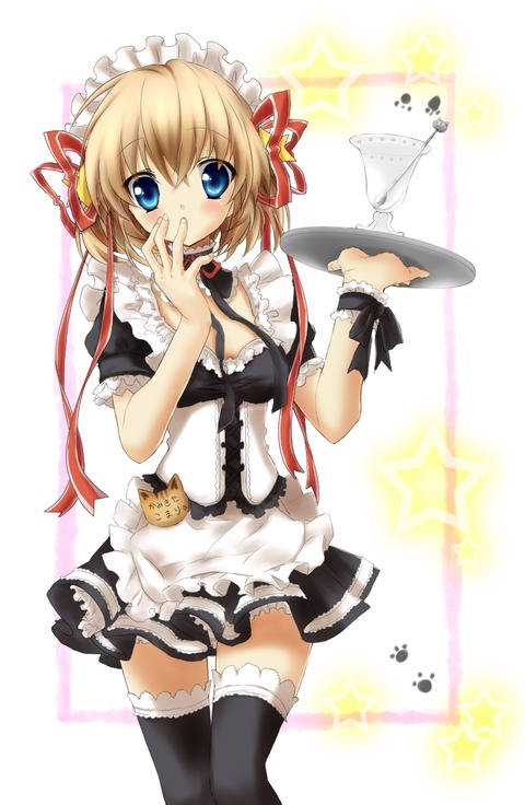 maid 1509220000