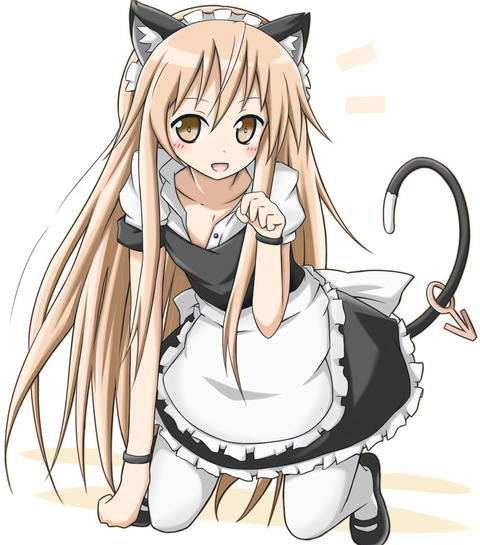 maid1602140008