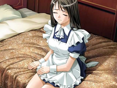 maid1511150050