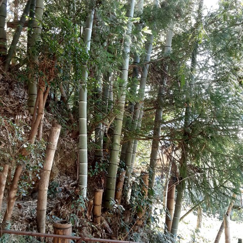 20201127_102234