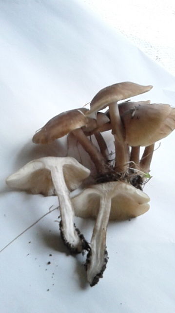 13e32f02.jpg