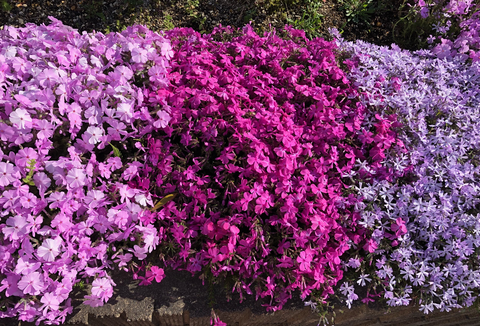 8A200458-27AD-44DF-A4A6-FAEC4D7C543B