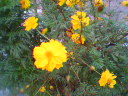 01f74038.jpg