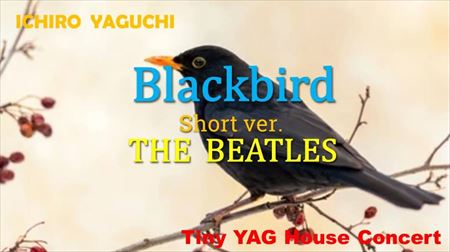 Blackbird_R