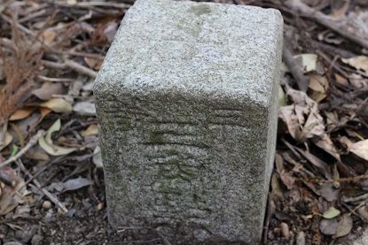 イメージ 5