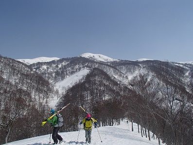 イメージ 6