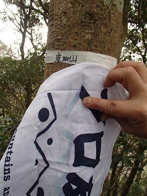 イメージ 14