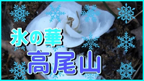 雪の華　高尾山　R2.12.22