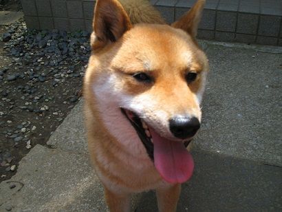 イメージ 1