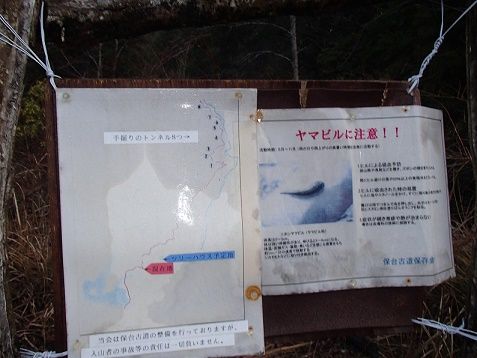 イメージ 4