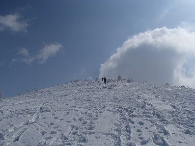 イメージ 14