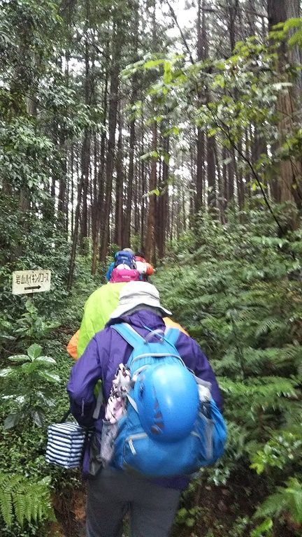 登山口