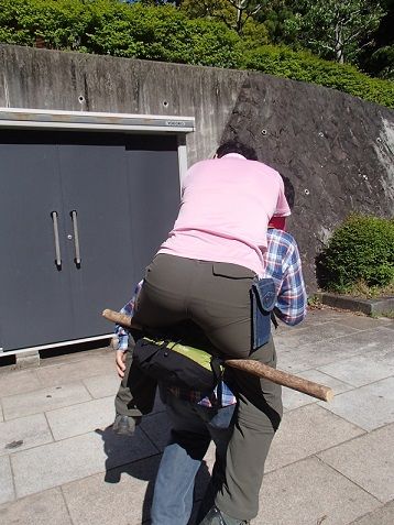 イメージ 5