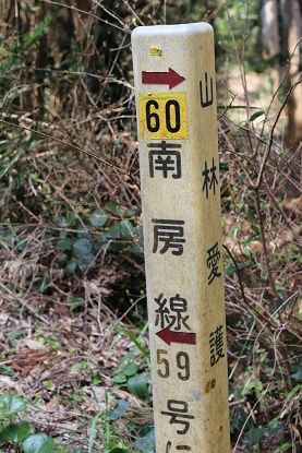 イメージ 20