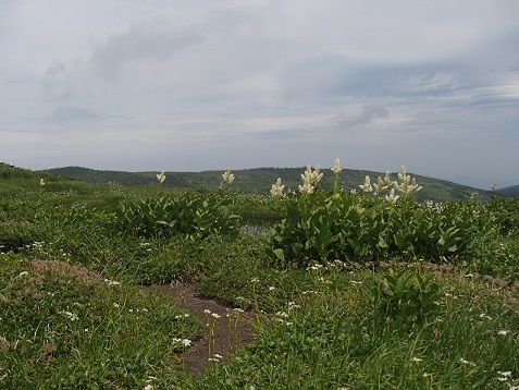 イメージ 6