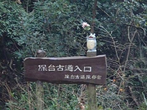 イメージ 5