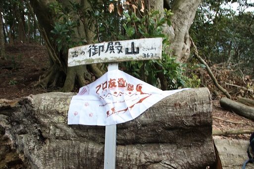 イメージ 15