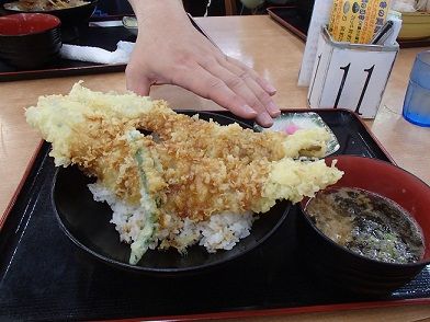 イメージ 1