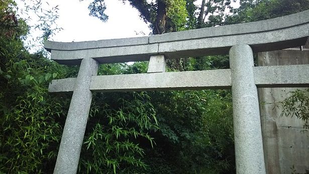 イメージ 8