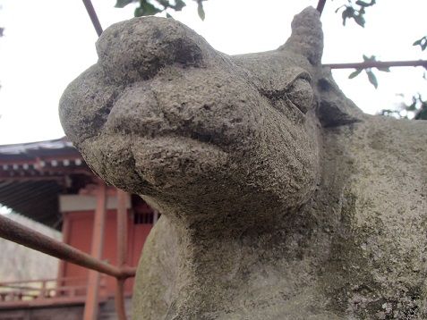 イメージ 12