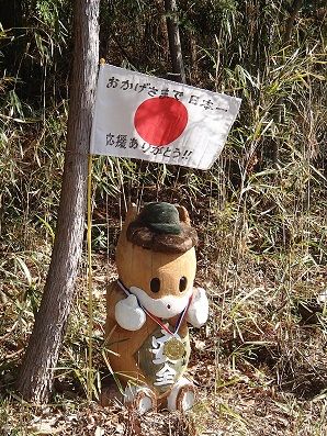 イメージ 15