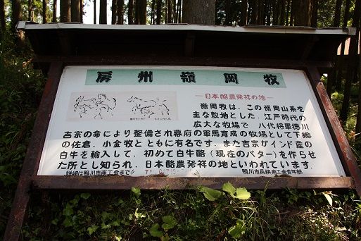 イメージ 7