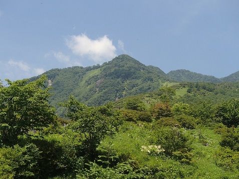 イメージ 9