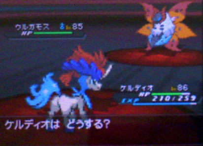 ポケモンbw2攻略日記その１０ 黒の摩天楼 突入 ツンデレ禁猟区 もっとやめて あさると