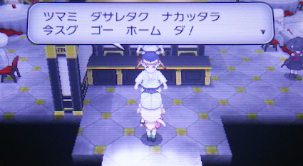 ポケモンxy 攻略日誌２ 魔都ミアレシティ 光と闇が交差する場所 ツンデレ禁猟区 もっとやめて あさると