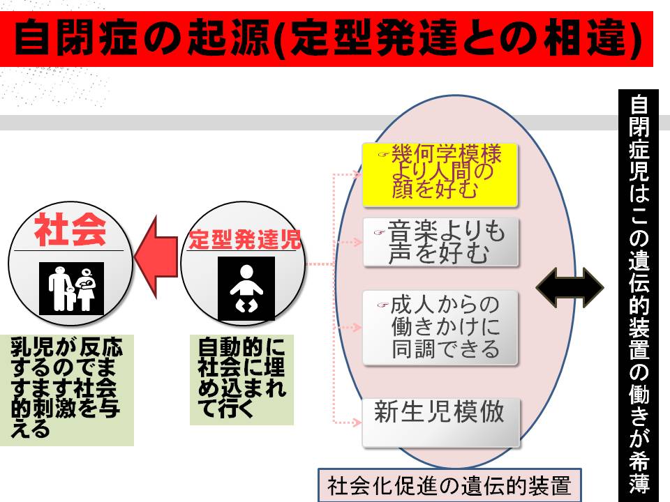 矢幡洋の心理学入門2016年04月自閉症の起源(定型発達との相違)消えたアスペルガー障害･特定不能の広汎性発達障害の行方自閉症と紛らわしいもの拒食症と過食症の相違点拒食症と合併しやすい精神疾患