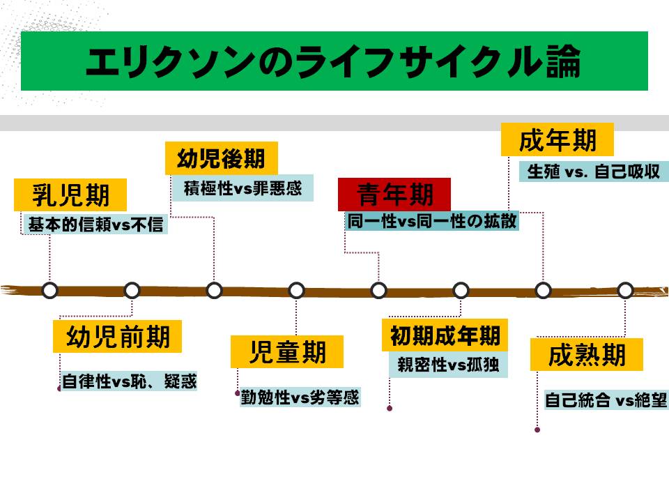 エリクソン 青年 期