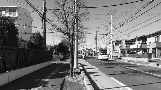 どうせみんな死ぬから やひログ どうせみんな死ぬから やひログ
